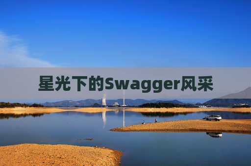 星光下的Swagger风采